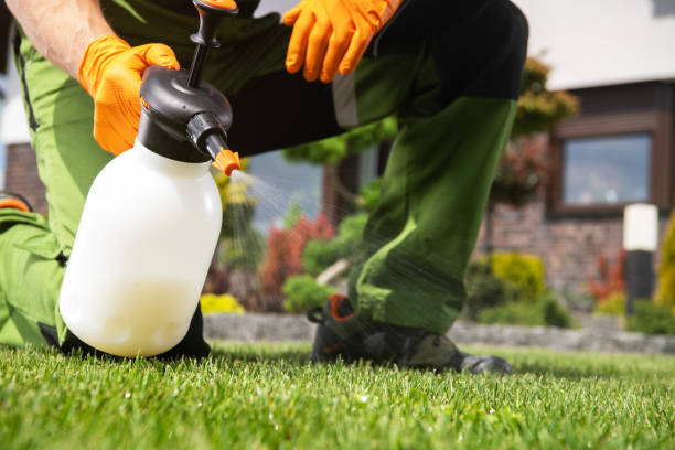 Best Bed Bug Extermination  in Scottsville, KY