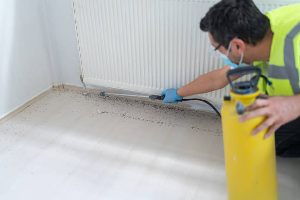 Trusted Scottsville, KY Pest Control Experts